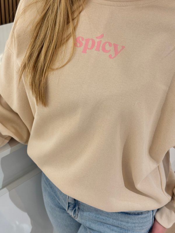 Sweater spicy beige - Afbeelding 5